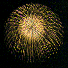 brocade chrysanthemum